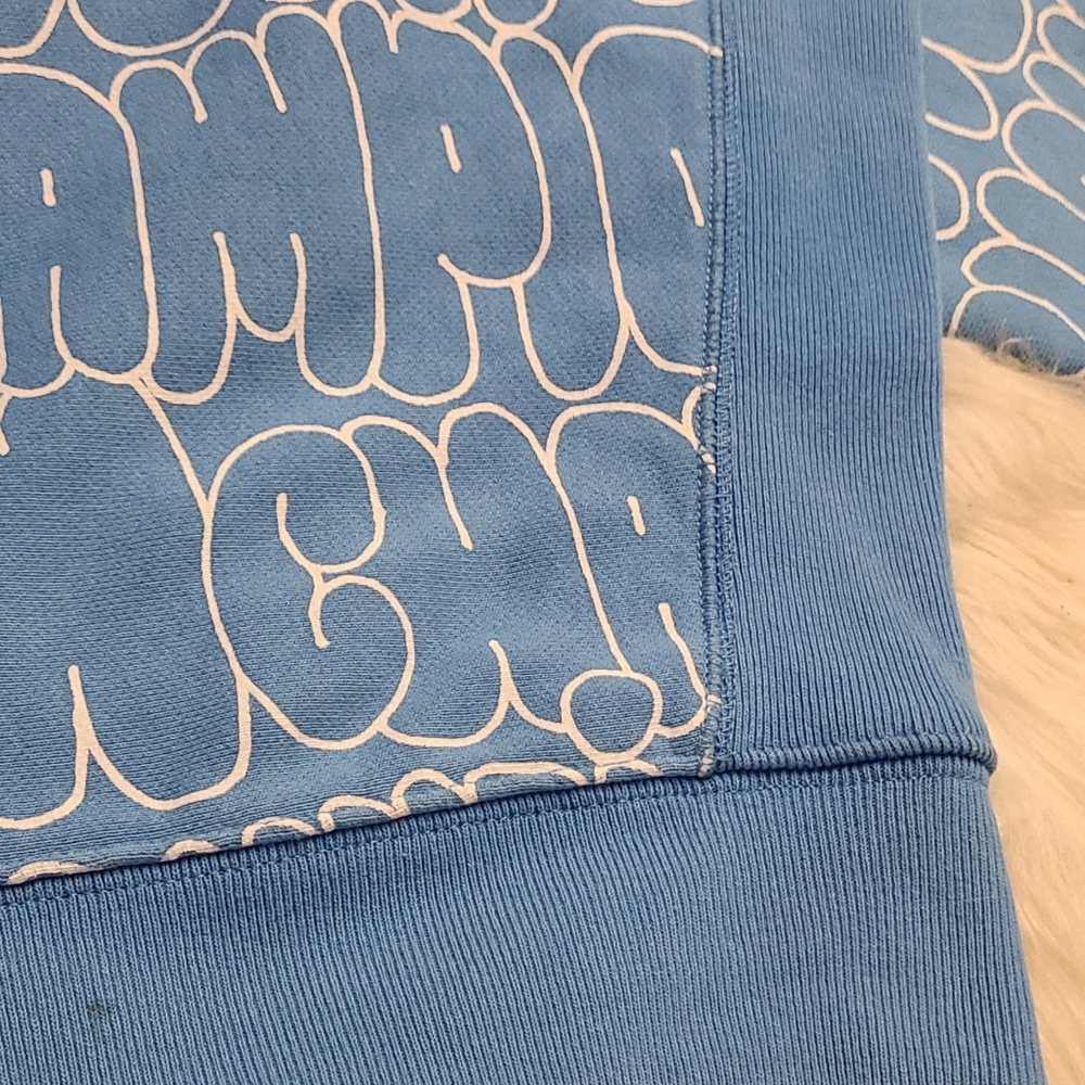 Champion Reverse Weave Hoodie - Picture 6 of 10